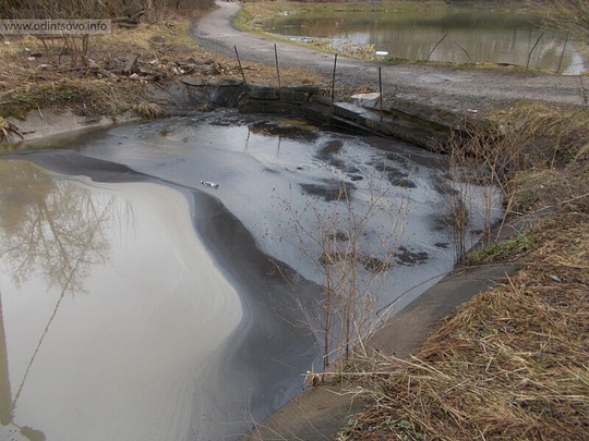 Немчиновскому пруду нанесен экологический удар, загрязненный Немчиновский пруд