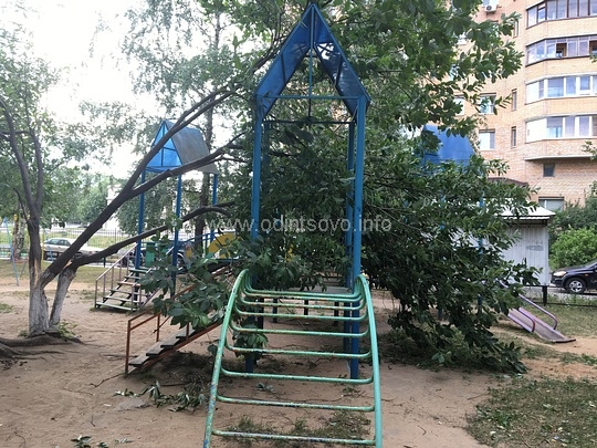 Из-за сильного ветра два дерева рухнули на детскую горку