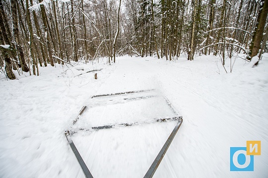 В Одинцовском лесу укатали лыжню