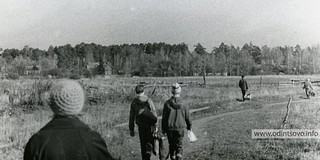 Жаворонки 80-е года