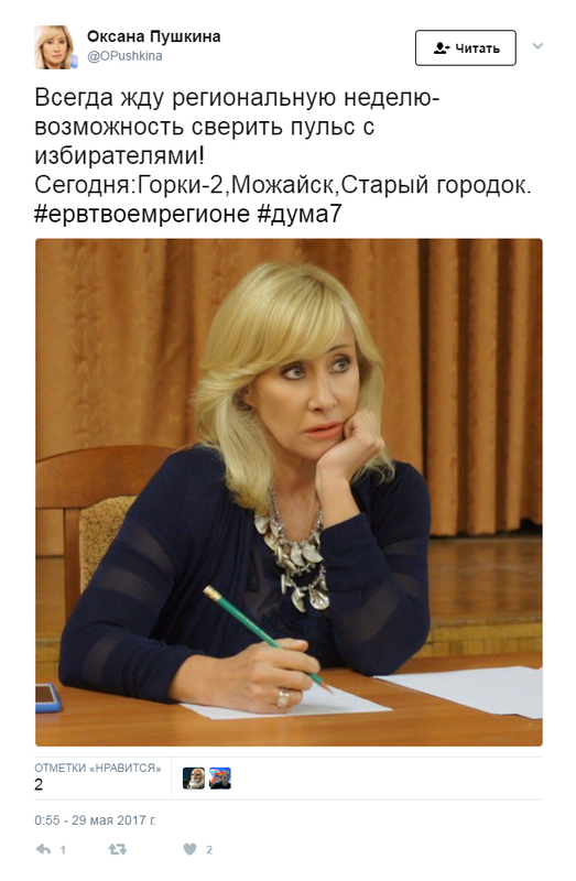 Оксана Пушкина, встреча с избирателями 29 мая