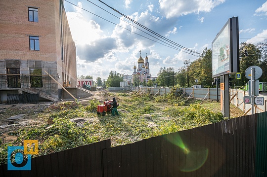 Власти Одинцовского района вырубили вековые деревья на центральной улице города, Власти Одинцовского района вырубили вековые деревья на центральной улице города