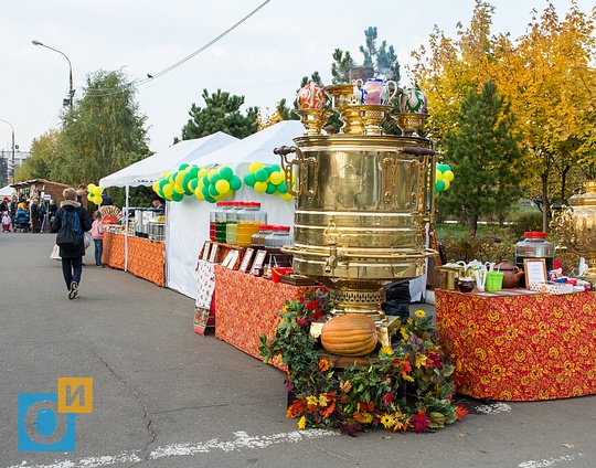 Ярмарка «Золотая осень» открылась в центре Одинцово, Ярмарка «Золотая осень» открылась в центре Одинцово