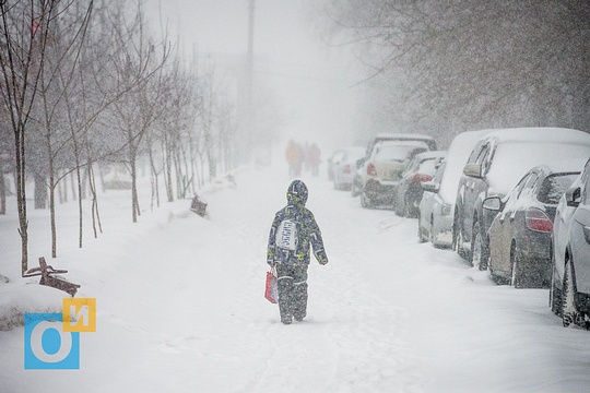 Сильный снегопад в Одинцово, Сильный снегопад в Одинцово