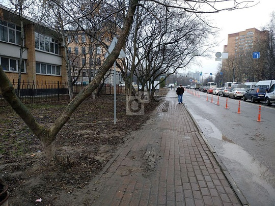 Тротуар на улице Свободы в Одинцово, Водители уничтожают зелёные насаждения и тротуар на улице Свободы в Одинцово