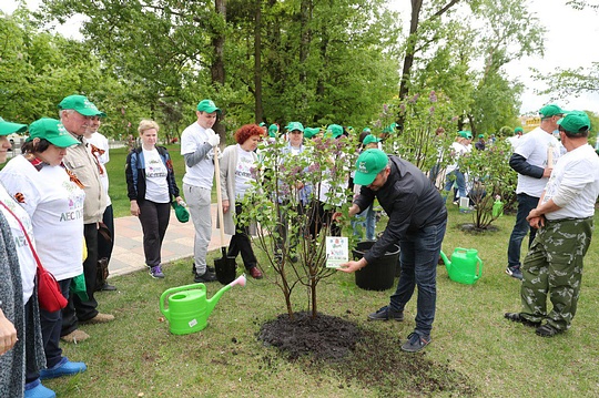 Участники акции «Лес Победы» в центре Одинцово, Экологическая акция «Лес Победы» в Одинцово