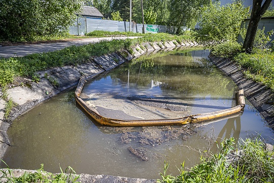 Немчиновский пруд, Май