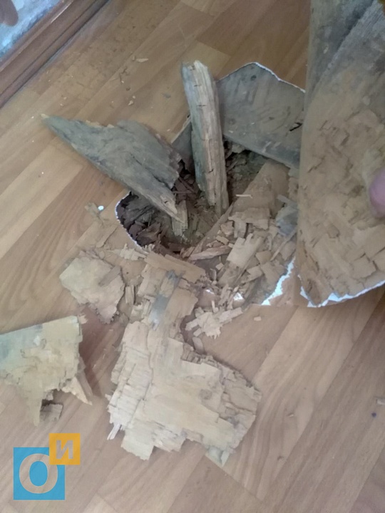 День знаний 2019 в Ершовской СОШ: деревянные полы сгнили, Аварийное состояние здания Ершовской школы
