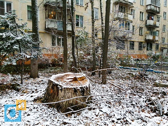 В Одинцово выпал снег (Можайское шоссе, 25), Зима пришла в Подмосковье