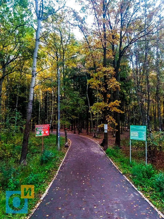 В 2013-2014 году парк в Трёхгорке начали благоустраивать, но потом этот процесс отчего-то остановился, Октябрь