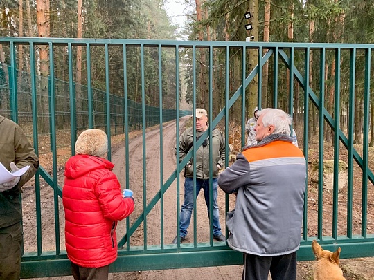Человек за забором представился «начальником охраны», Самовольное занятие земель лесного фонда в Трубочеевке