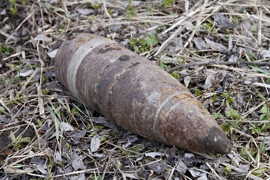 Артиллерийский снаряд нашли в поле около села Дубки, Одинцовский округ, Ноябрь