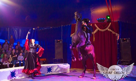 Великолепный Зорро и его конь Проспект, Цирк — шапито «Граф Орлов» с грандиозной шоу-программой в Одинцово