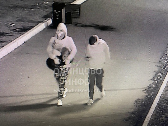 Двоих похитителей в масках зафиксировала камера видеонаблюдения, Петуха украли с площади Одинцово