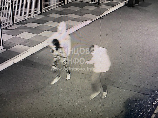 Двоих похитителей в масках зафиксировала камера видеонаблюдения, Петуха украли с площади Одинцово