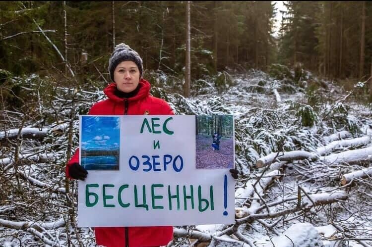 «Лес и озеро бесценны»: жители борются против вырубки леса, Над Брёховским лесом снова нависла угроза вырубки