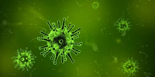 Фото вируса 2019-nCov, Приказ: О мерах по профилактики гриппа и ОРВИ