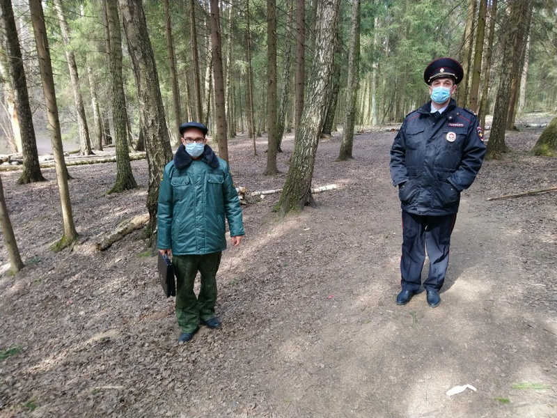 Сотрудники лесной охраны и полиции в лесу около Новой Трёхгорки, Жителей Трёхгорки оштрафовали за поход в лес на шашлыки