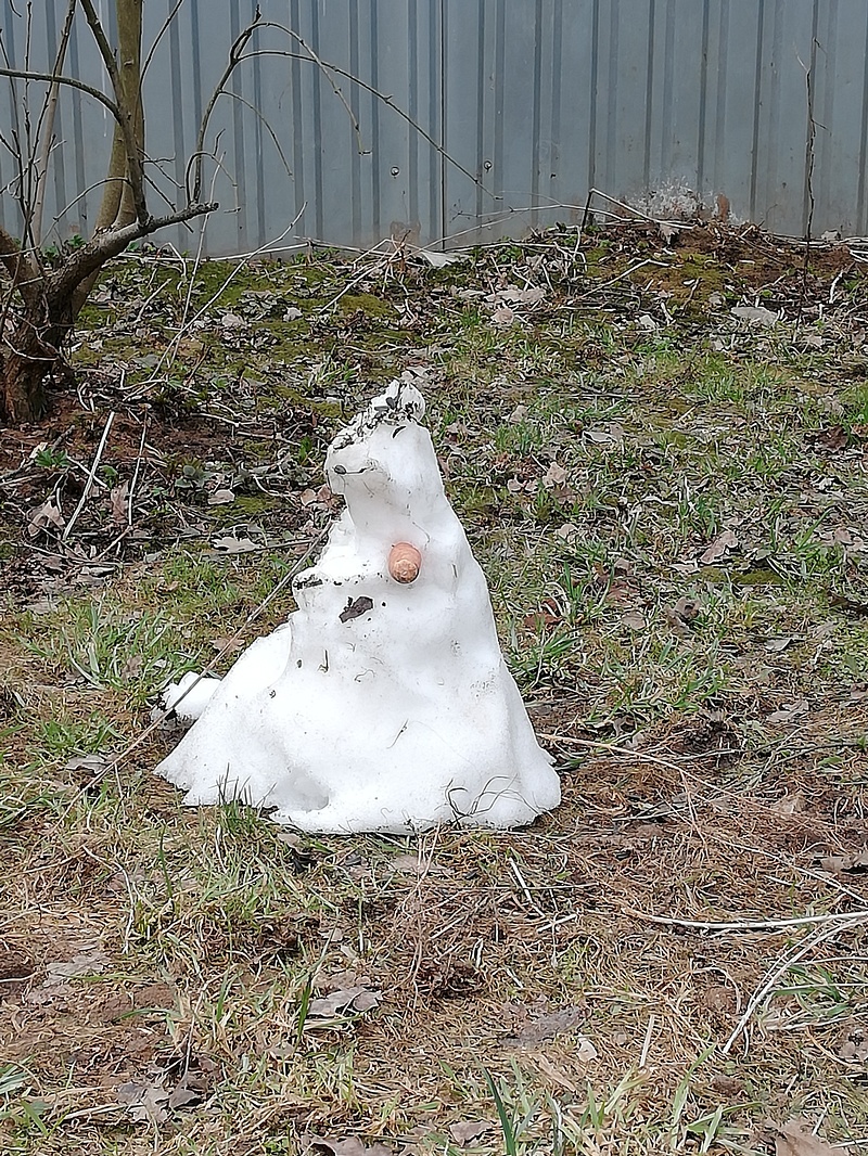 Снеговик, Коронавирусный «день сурка»