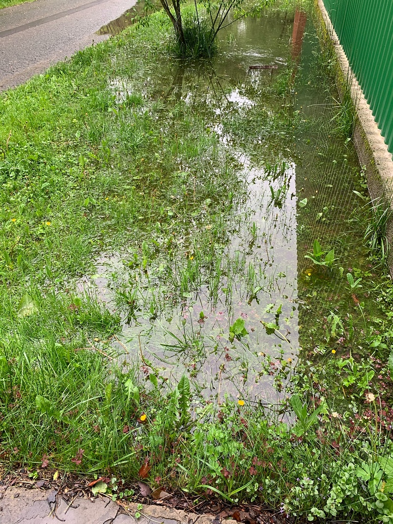 Подтопление у проезда в частном секторе села Дубки, «Вода льётся рекой». Новые дожди привели к затоплениям