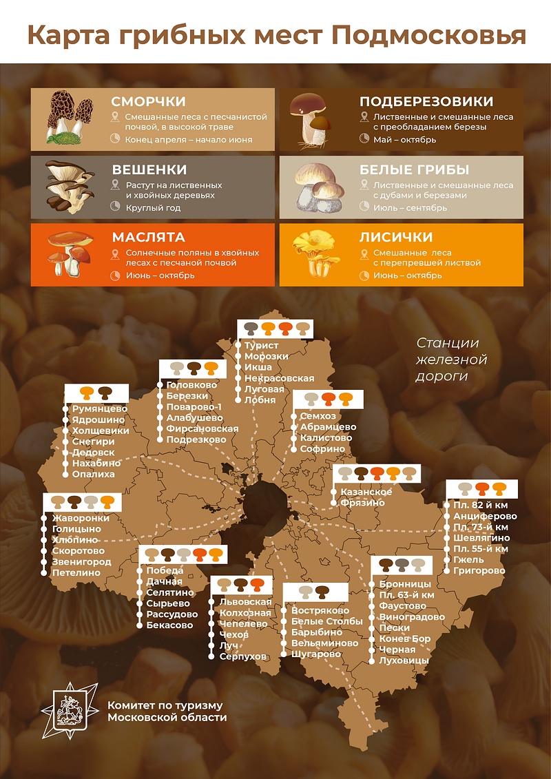 Карта грибных мест Подмосковья, Июнь