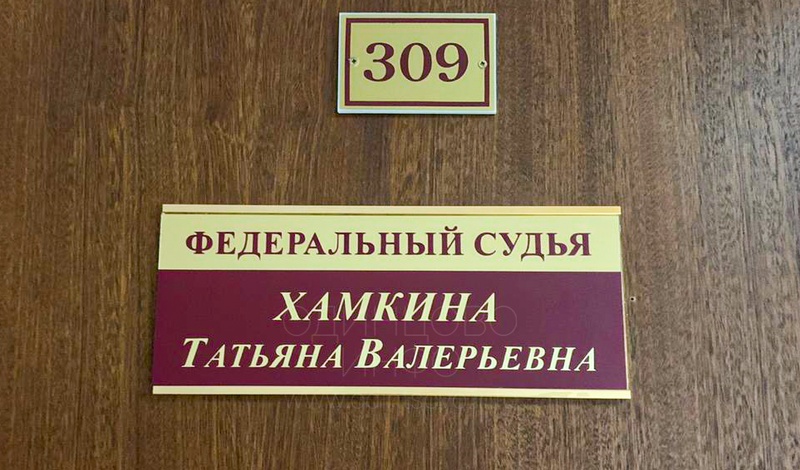 Федеральный судья Хамкина Татьяна Валерьевна признала Максима Ельцова виновным, В Барвихе задержали участника мирной акции протеста против застройки леса