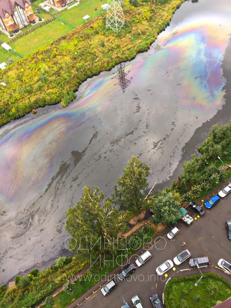 Плёнка из нефтепродуктов на Глазынинском пруду в Одинцово