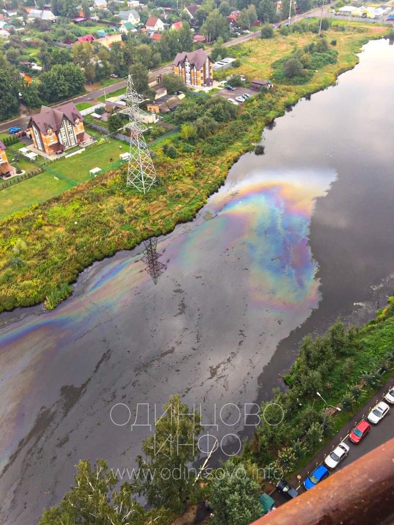 Плёнка из нефтепродуктов на Глазынинском пруду в Одинцово