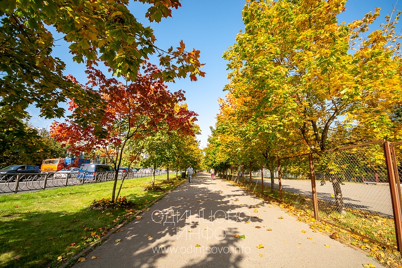 Осень, тротуар вдоль Красногорского шоссе, Осень в Одинцово