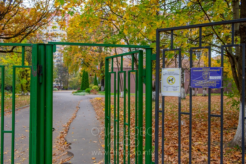 Калитка основного входа на обособленную территорию Одинцовской СОШ №3, Одинцовская средняя общеобразовательная школа №3