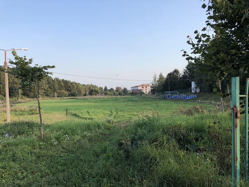 Стадион в деревне Ликино, Чиновники считают нецелесообразным обустройство стадиона в Ликино из-за отсутствия денег в бюджете