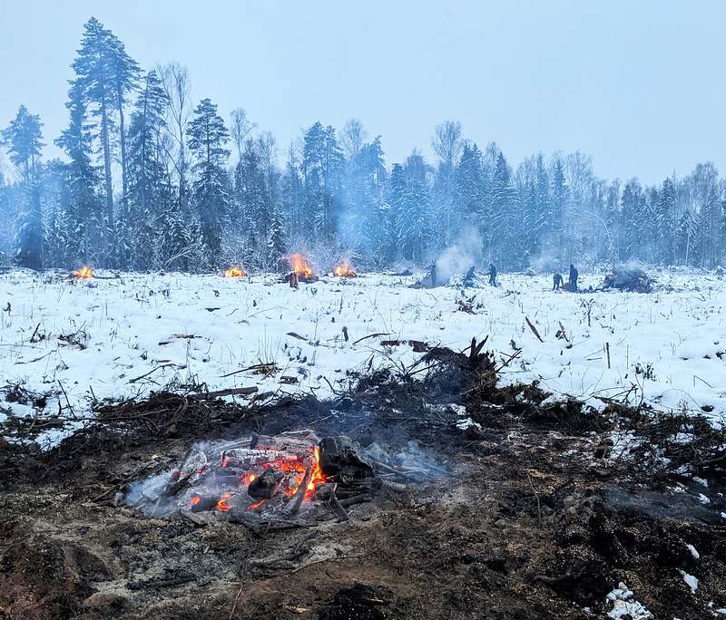 В лесах Одинцовского округа продолжают сжигать порубочные остатки, Декабрь
