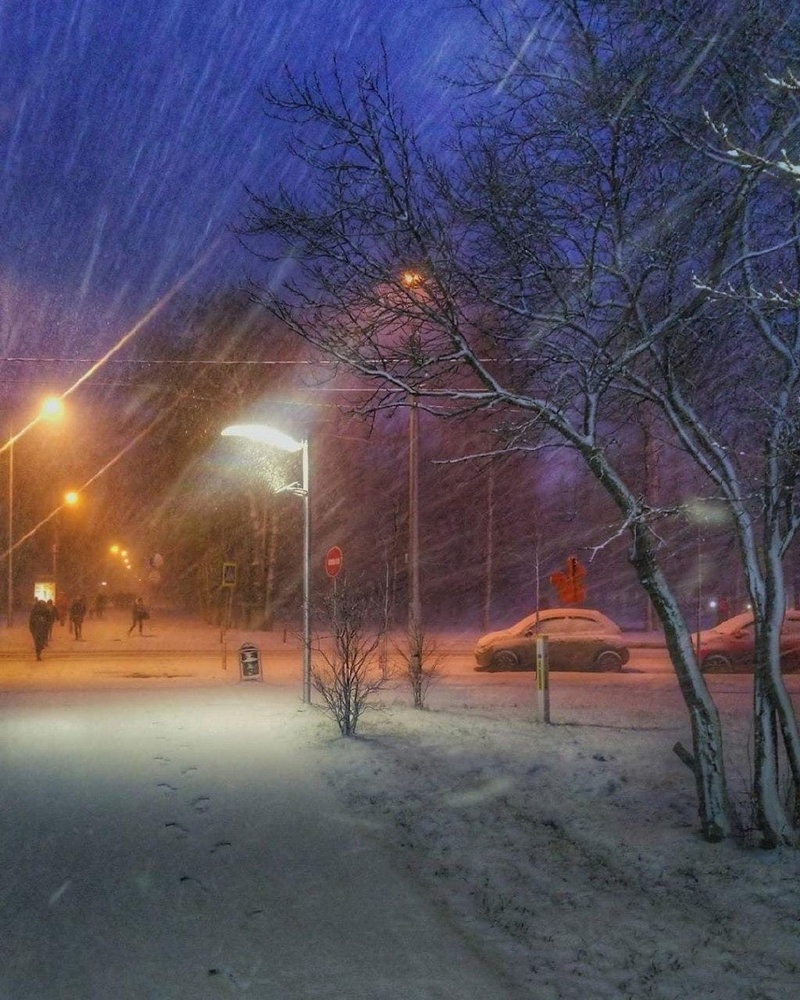 Снегопад в Одинцово, Январь