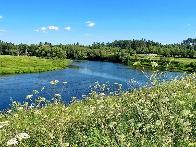 На территории Ершовского поселения создают природный заказник «Леса и болота рек Жуковки и Поноши», Ещё один природный заказник создают в Одинцовском округе