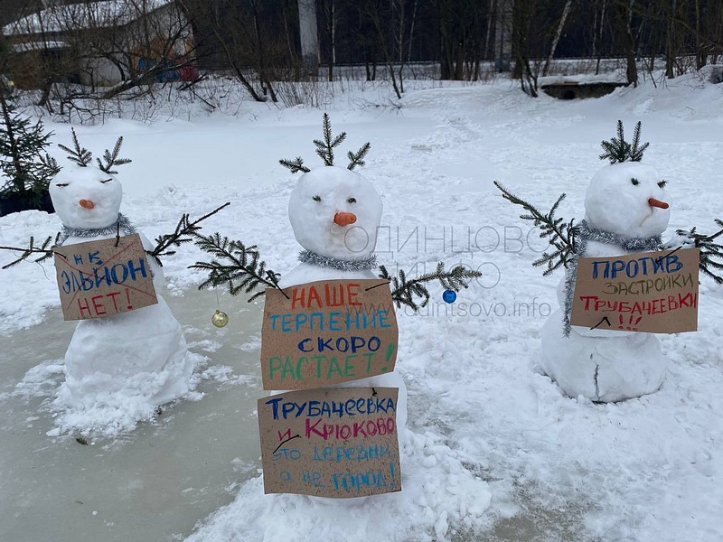 «Наше терпение скоро лопнет», Митинг снеговиков против стройки ЖК в деревне