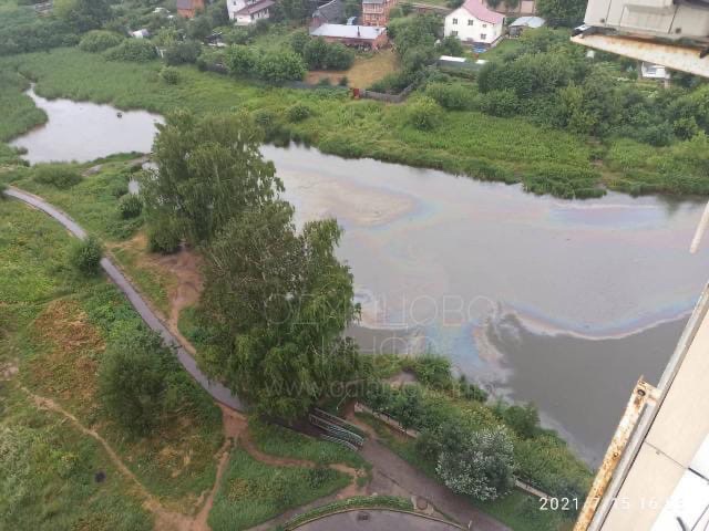 Июль 2021 года, плёнка на поверхности пруда, Чиновники объявили о завершении очистки Глазынинского пруда в Одинцово