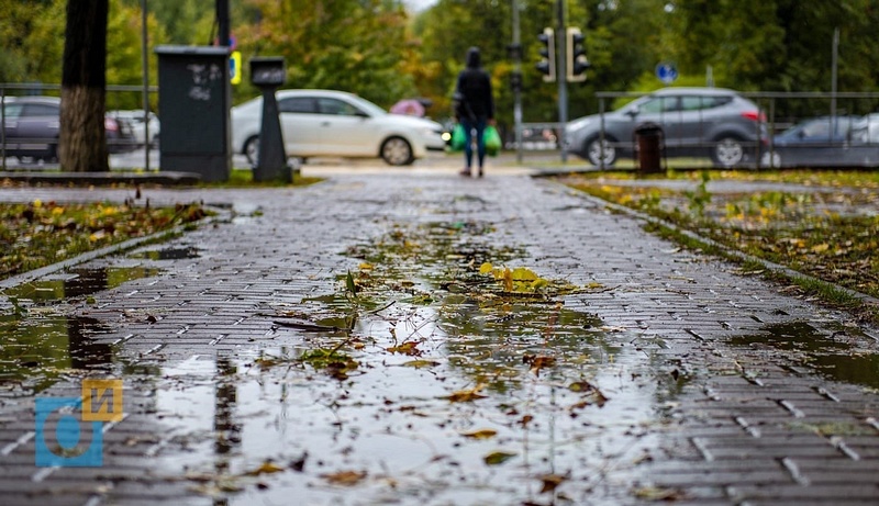 14 и 15 октября в Московском регионе объявлен «жёлтый» уровень погодной опасности из-за дождя, Октябрь