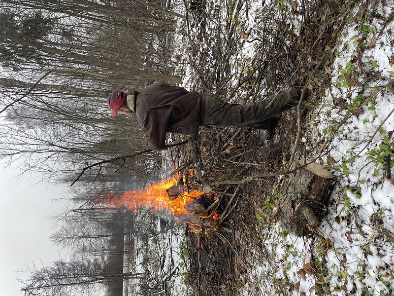 В лесах Одинцовского округа проводят санитарные рубки и сжигают порубочные остатки, Ноябрь