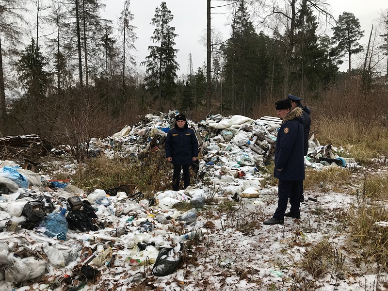 Инспекторы Госадмтехнадзора на месте свалки, Две мусорные свалки обнаружили в деревне Гигирево