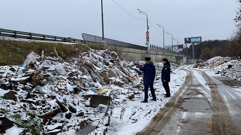 Навалы отходов рядом с дорогой, Две мусорные свалки обнаружили в деревне Гигирево