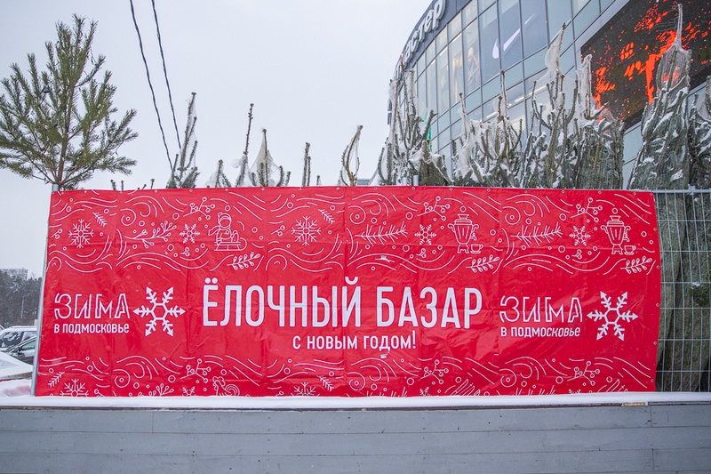 «Ёлочный базар», «Зима в Подмосковье», В Одинцовском округе открыли 16 ёлочных базаров