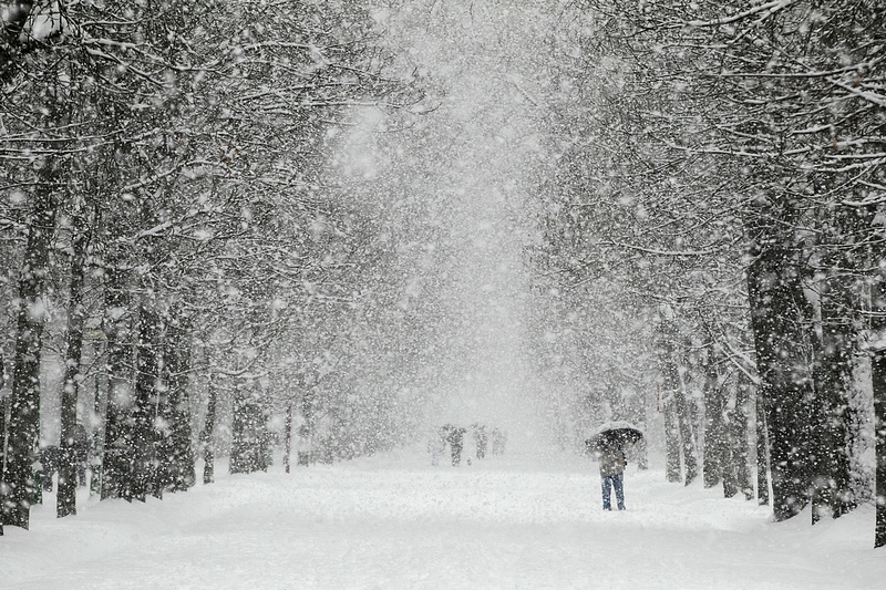 Почти половина месячной нормы снега выпадет в Подмосковье за неделю, Январь