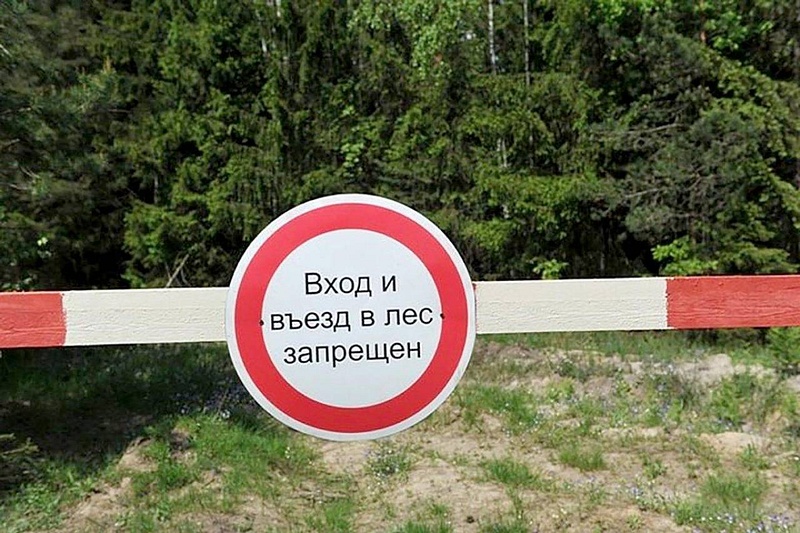 В Одинцовском округе запретили посещать леса, Май
