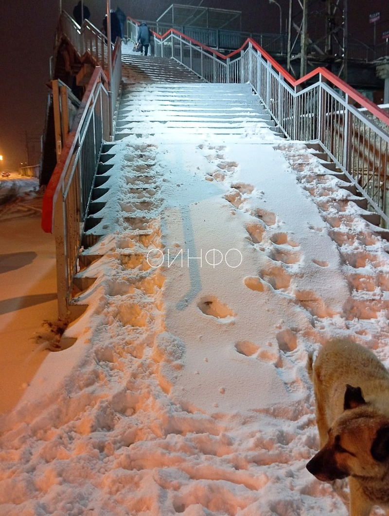 Мост на станции «Голицыно», Последствия снегопада в Одинцовском округе