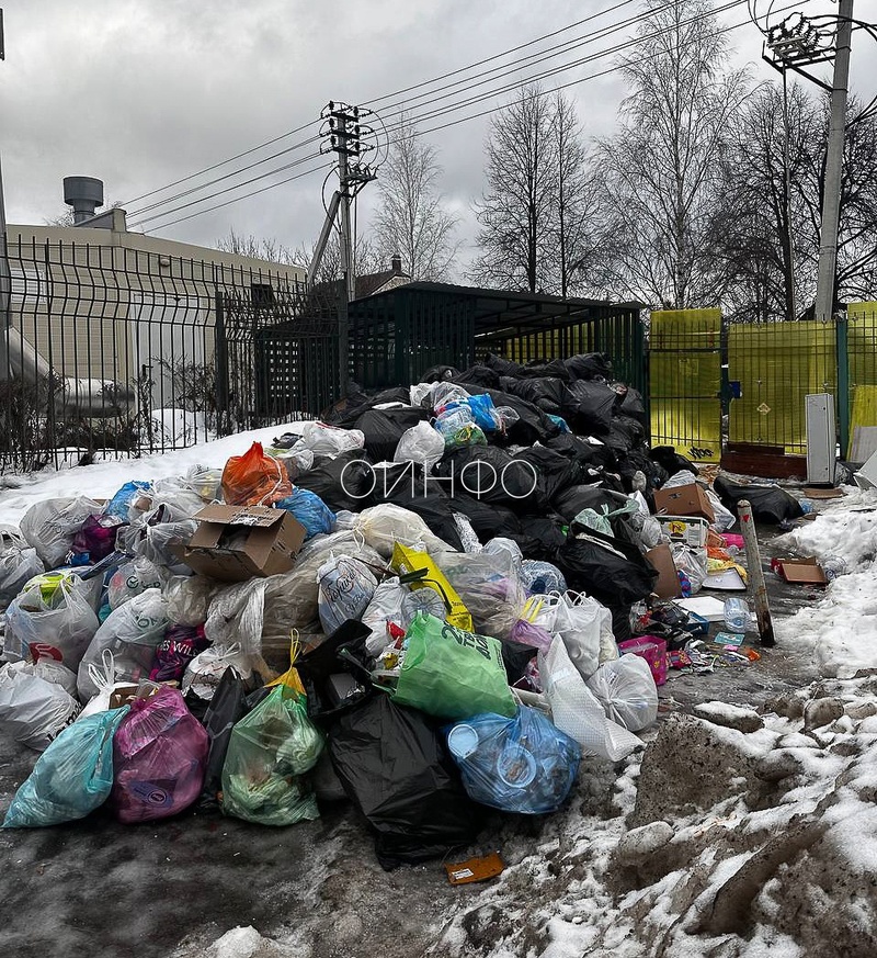 «Рузский региональный оператор» прекращает работу. Одинцовский округ ждёт мусорный коллапс?