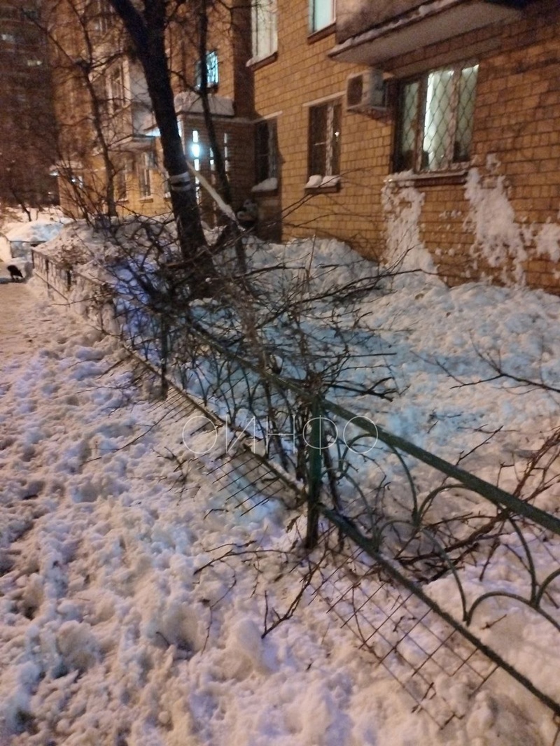 Снег в Одинцово после циклона «Ваня»