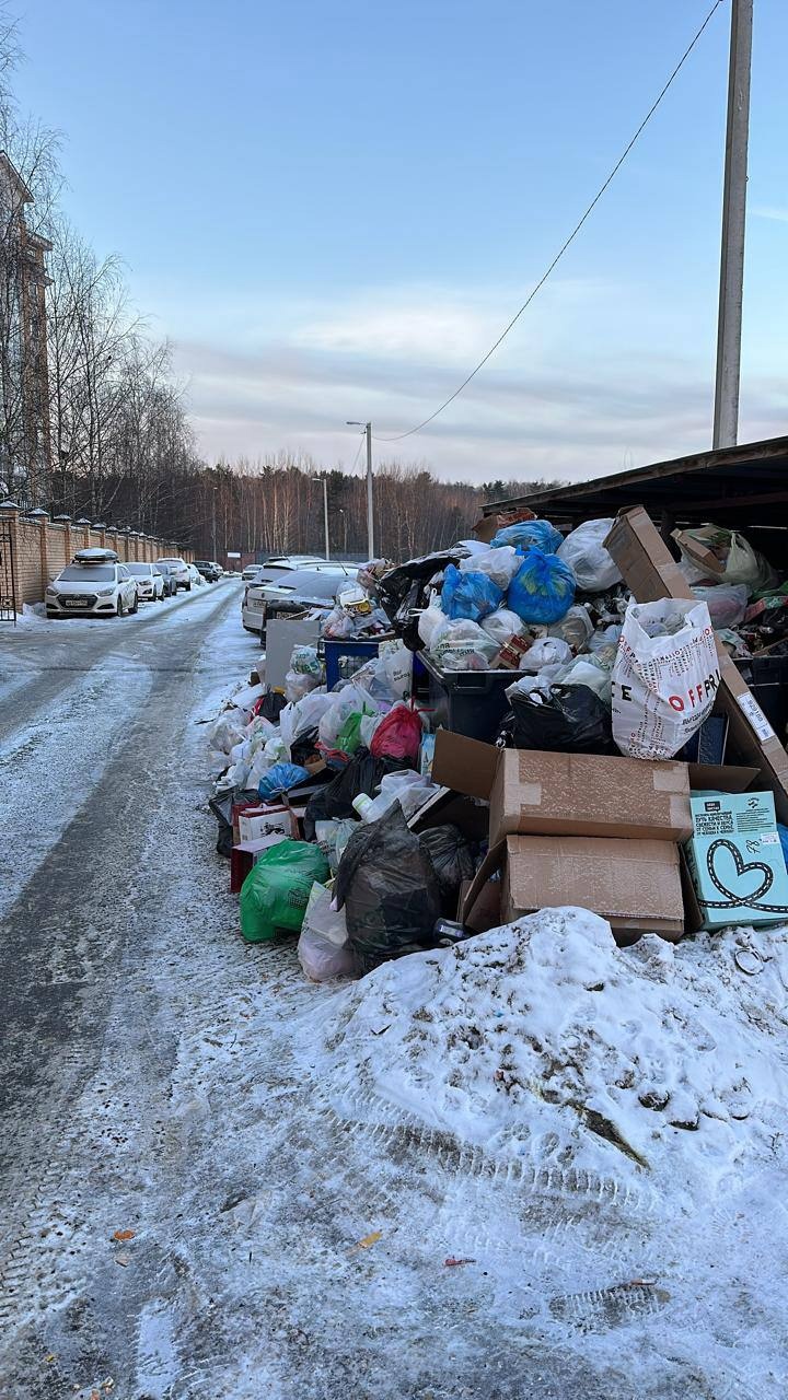 Переполненные мусорные площадки в первую неделю января
