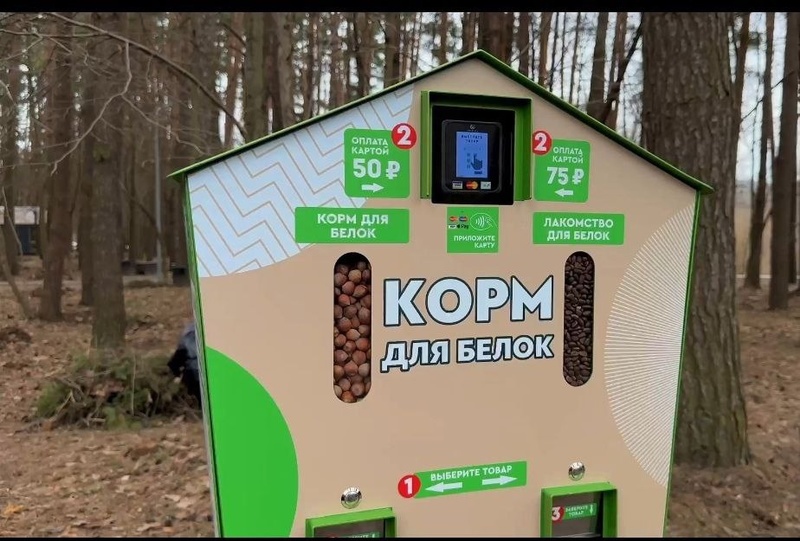 Автомат с кормом для белок в Одинцовском парке культуры, спорта и отдыха, В Одинцово установили автоматы с правильным питанием для уток и белок