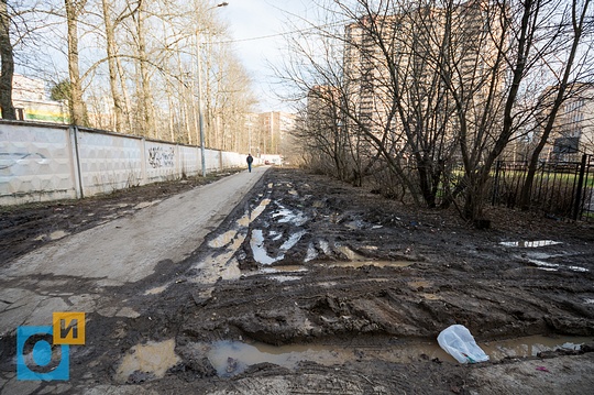 бульвар Любы Новосёловой, 4А, у детской больницы, Автомобилисты Одинцово уродуют газоны в городе