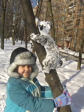 Коала, Конкурс снеговиков от «Одинцово-ИНФО» и «Позитроники», SFlame